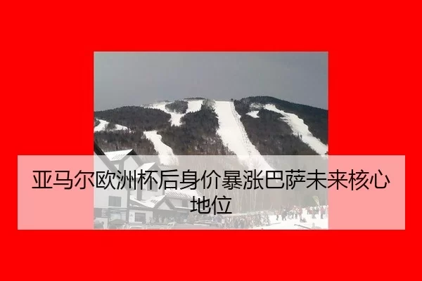 ya-ma-er-ou-zhou-bei-hou-shen-jia-bao-zhang-ba-sa-wei-lai-he-xin-di-wei-2-359.jpg