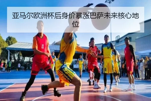 ya-ma-er-ou-zhou-bei-hou-shen-jia-bao-zhang-ba-sa-wei-lai-he-xin-di-wei-3-148.jpg